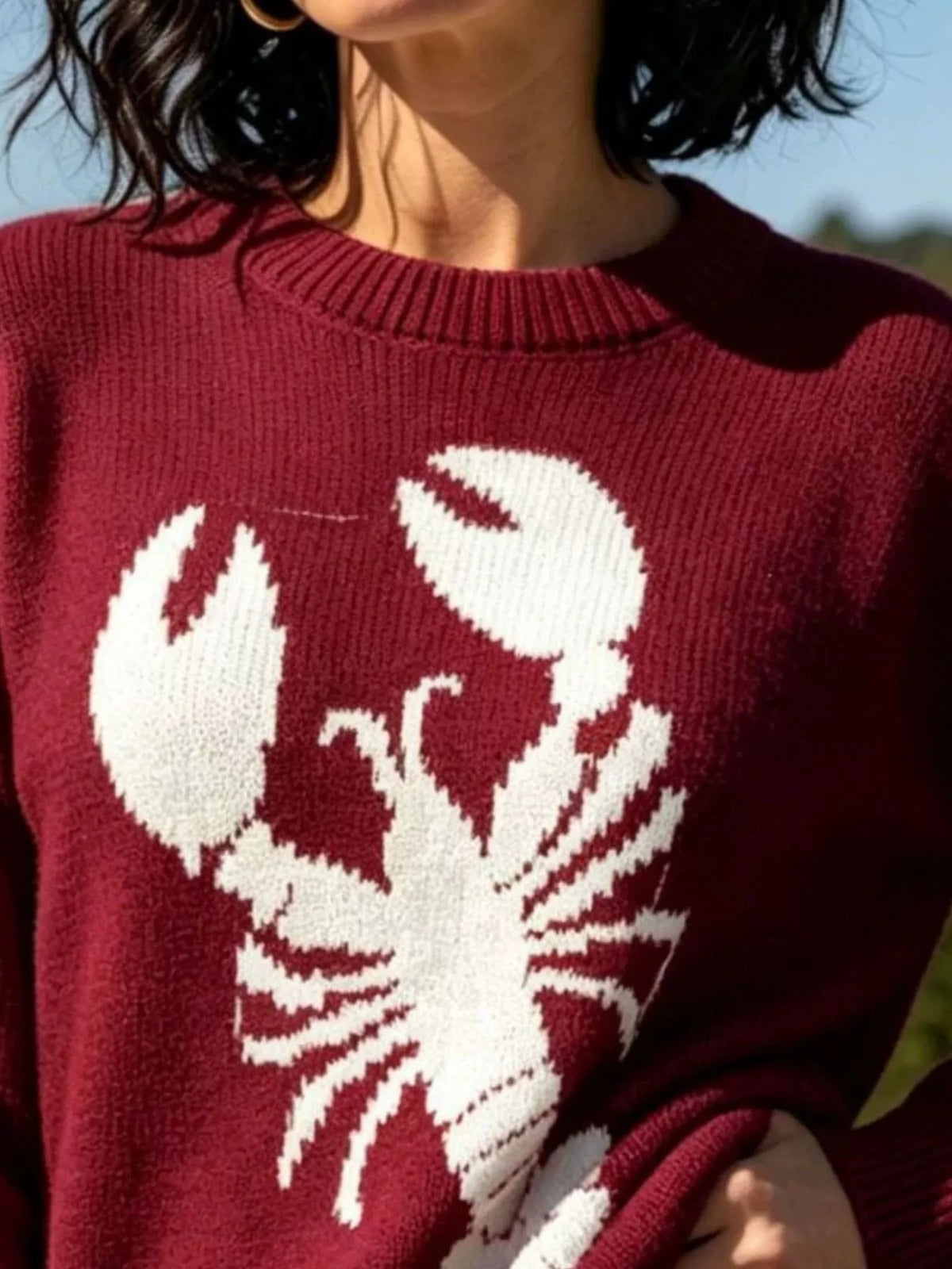 Lobster Graphic Crew Neck Sweater - Deep Red - View 2