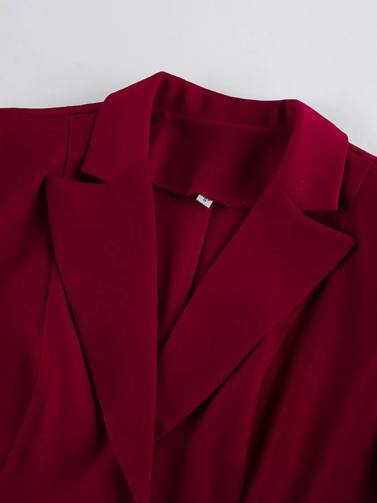 Single-Breasted Blazer and Wide-Leg Pants Set - Burgundy - View 9