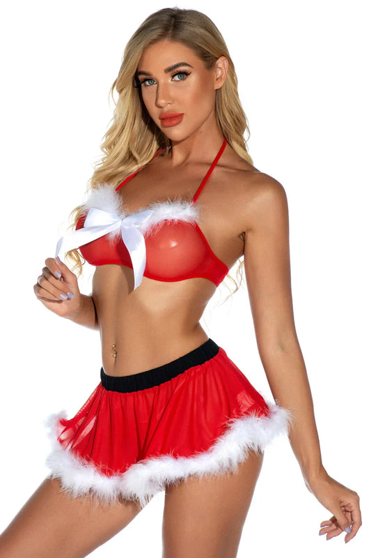 Christmas Secret Bra and Skirt Set