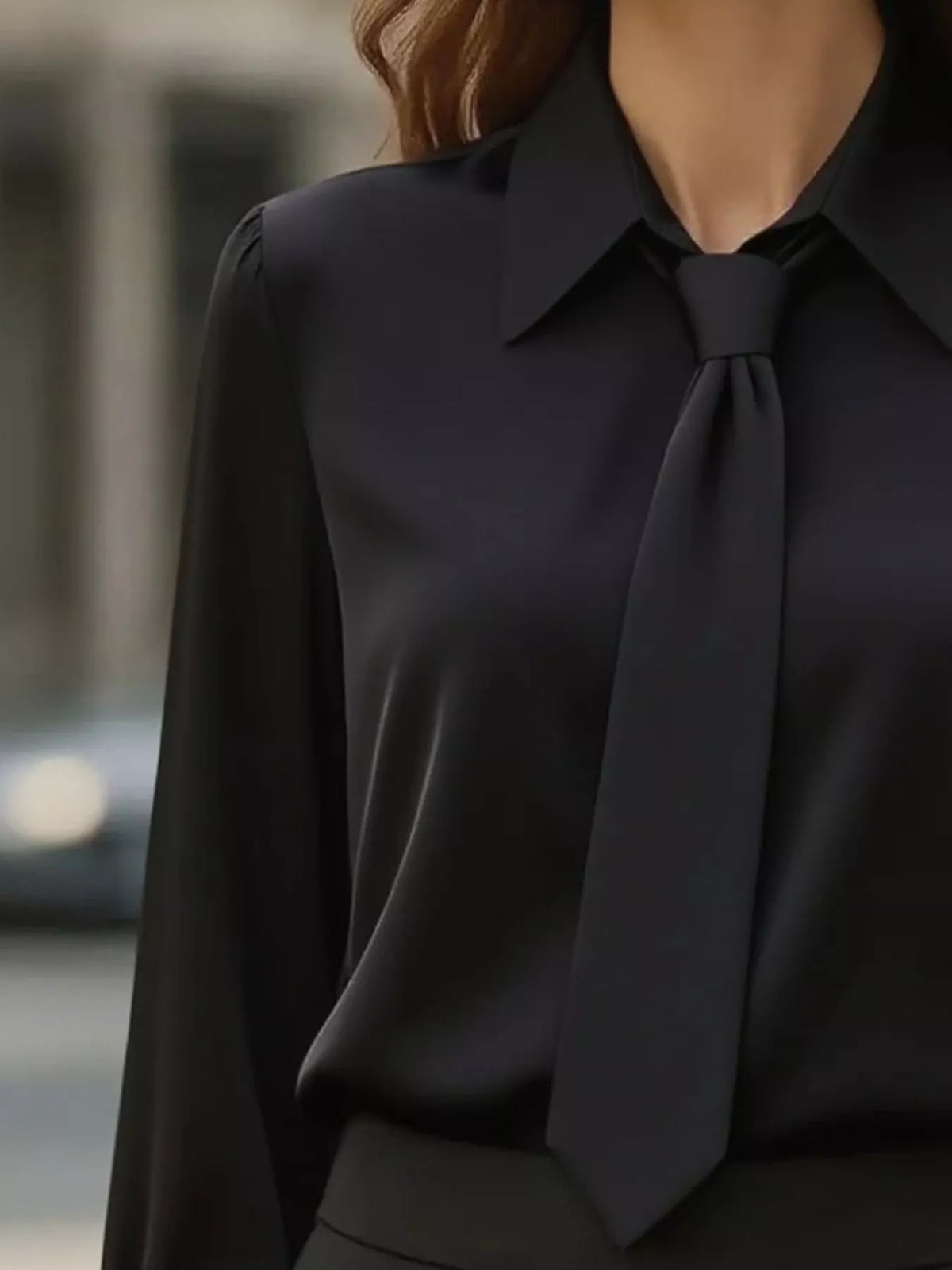 Collared Neck Long Sleeve Blouse - Black - View 9