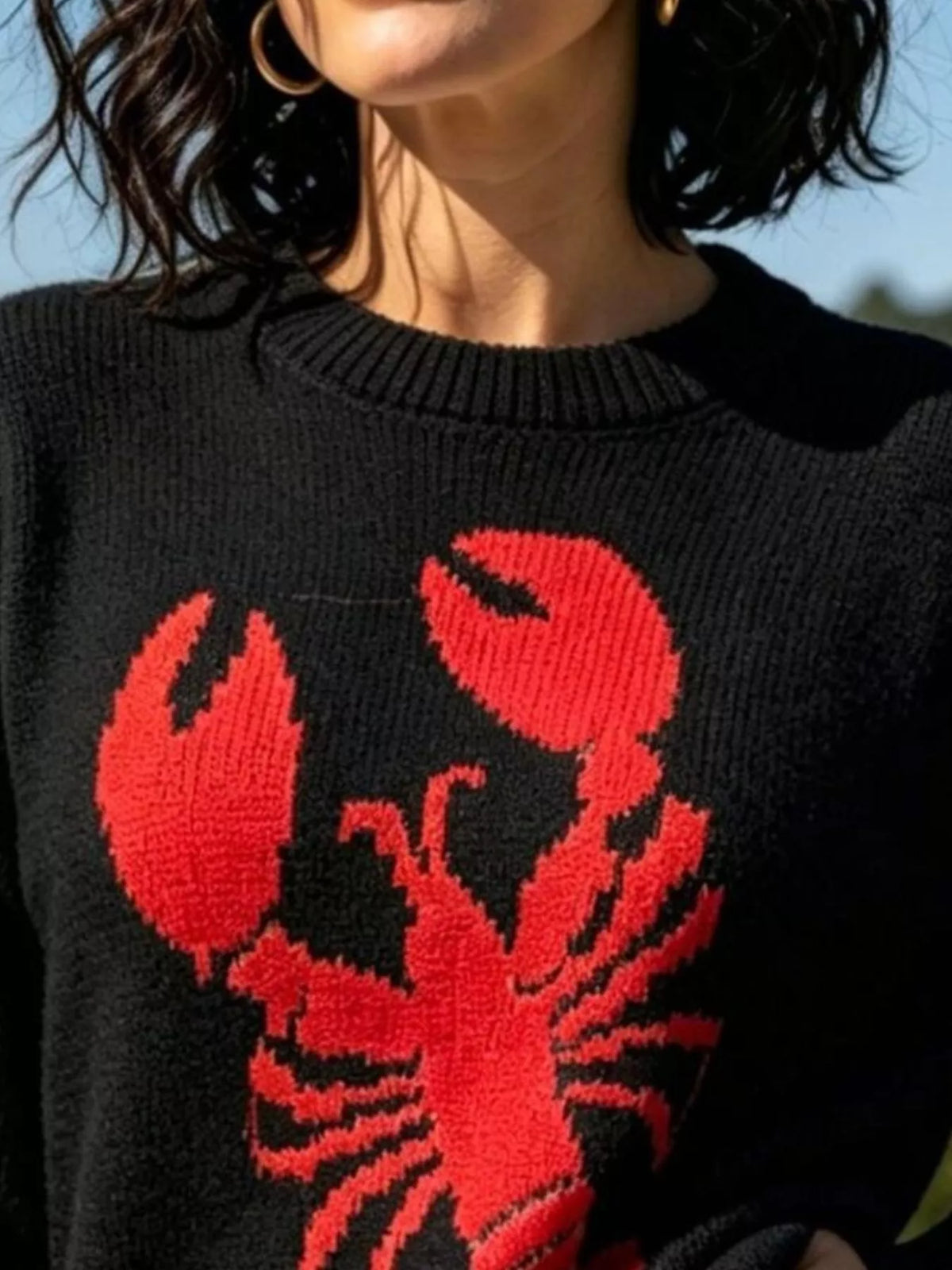 Lobster Graphic Crew Neck Sweater - Black - View 2