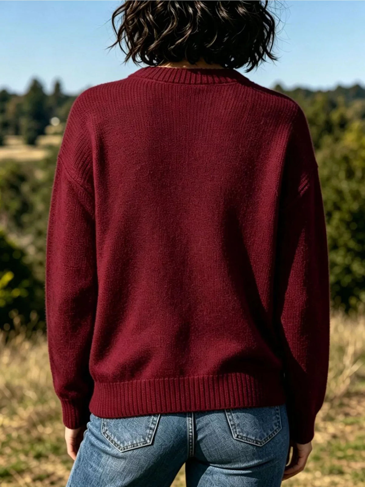 Lobster Graphic Crew Neck Sweater - Deep Red - View 2