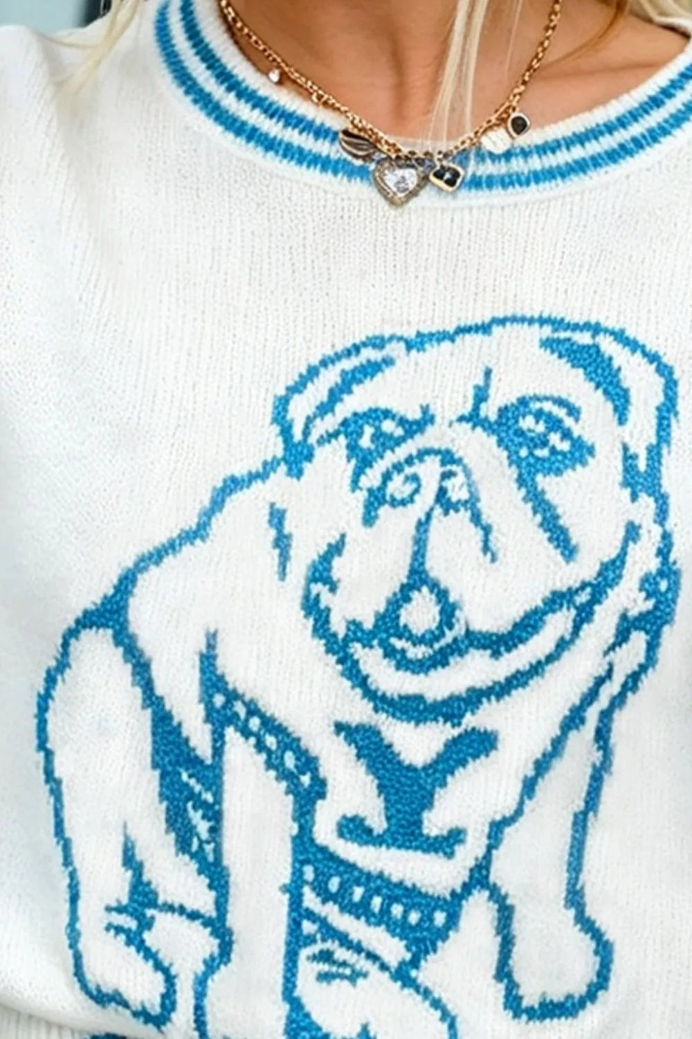 Bulldog Graphic Striped Trim Sweater - Light Blue - View 3