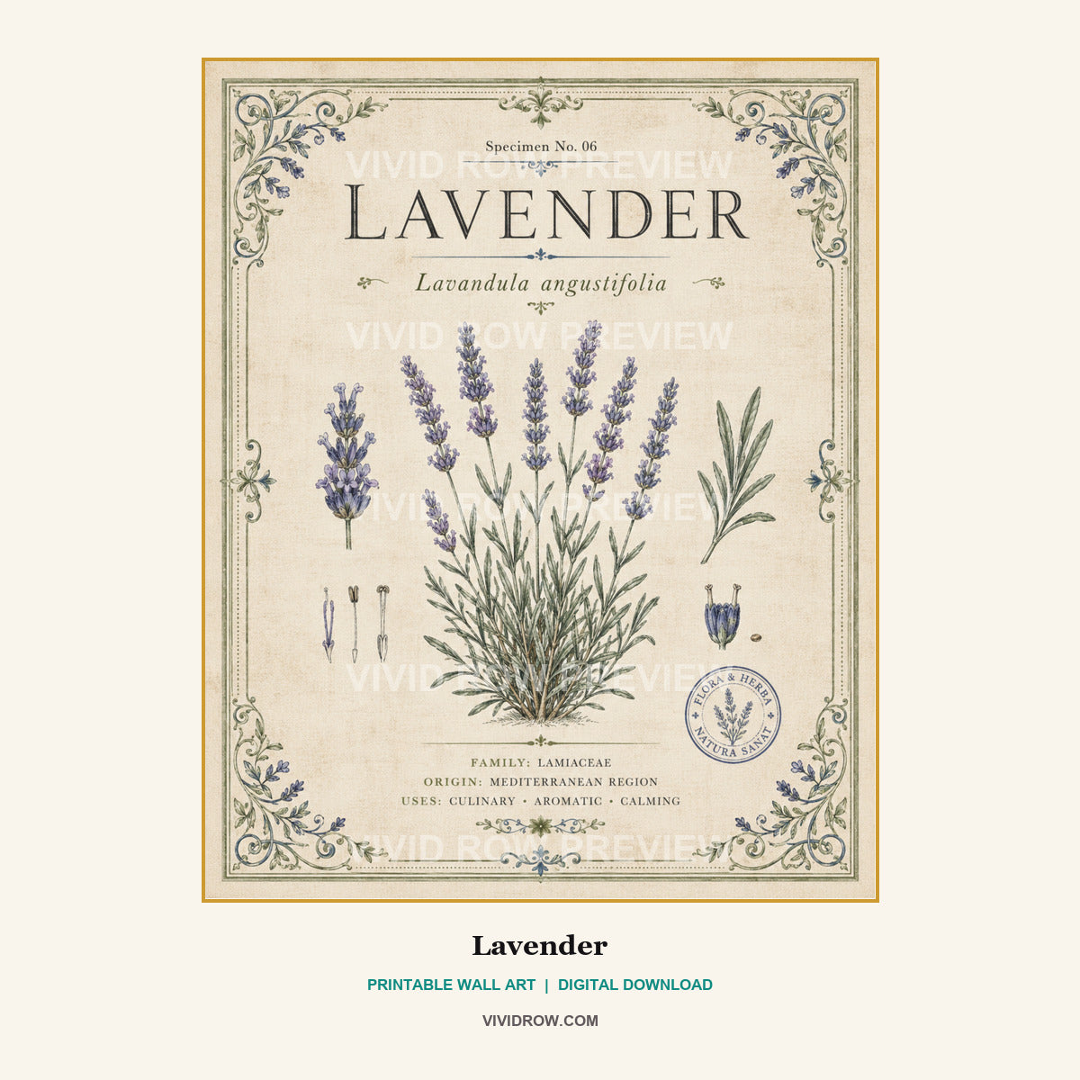 The Gilded Herbarium Printable Wall Art Set artwork preview 2 by Vivid Row