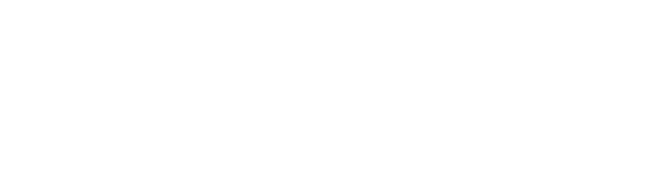 Vivid Row logo