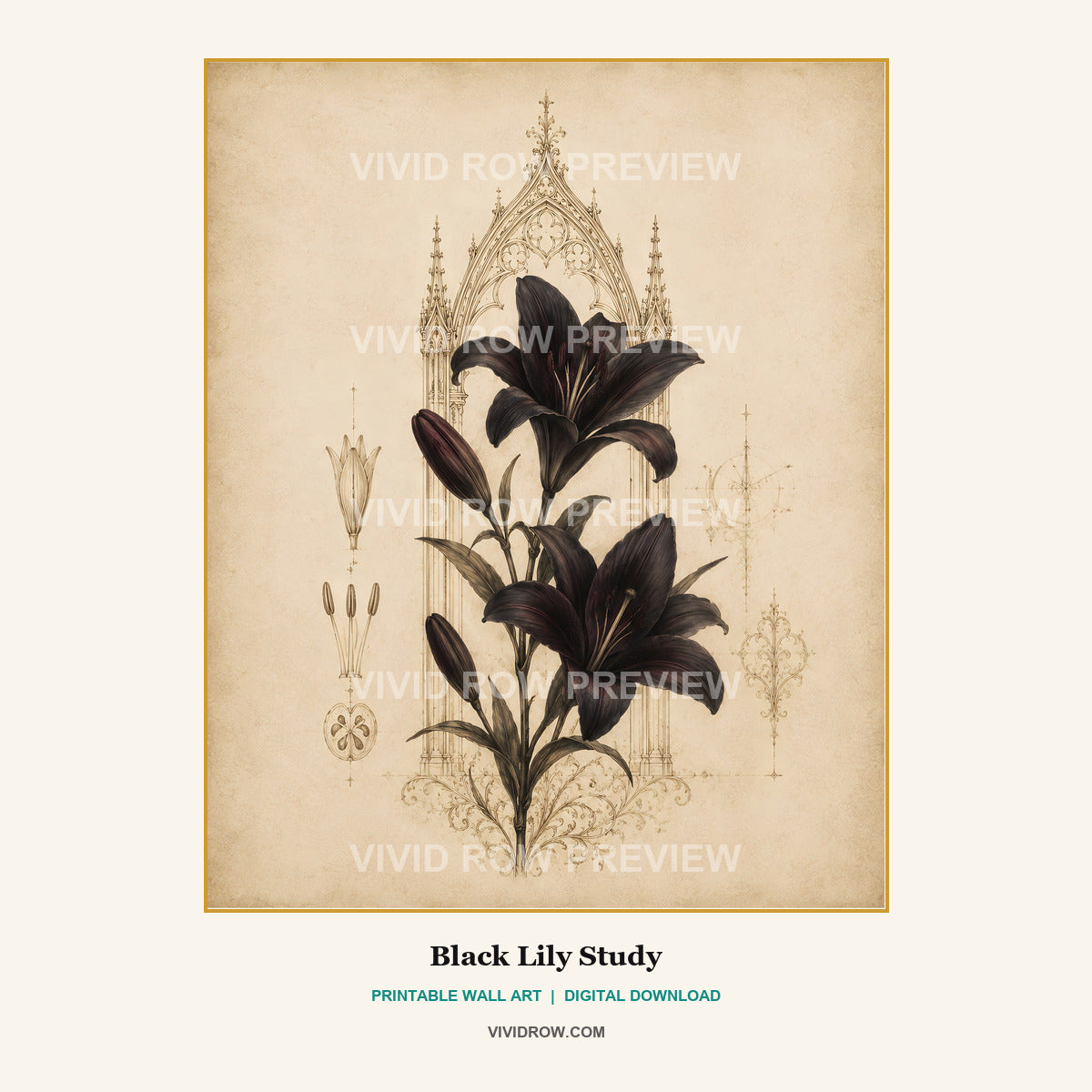 Noir Cathedral Botanicals Printable Wall Art Set artwork preview 2 by Vivid Row
